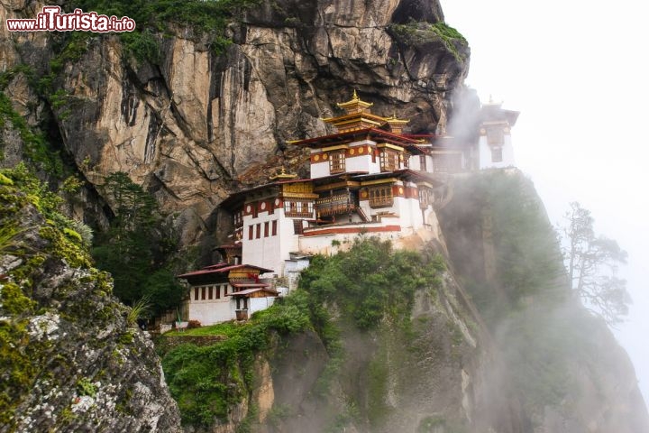 Il monastero di Paro Taktsang, in Bhutan - Viene soprannominato “Nido della Tigre” o “Tana della Tigre” il monastero Paro Taktsang, in Bhutan, a una decina di chilometri da Paro, città di circa 20 mila abitanti che sorge ai piedi del monte sacro Jhomolhari. Non un solo monastero ma un complesso di più edifici, sospesi tra la terra e il cielo a quota 3120 metri, ovvero 900 metri più in alto della Valle di Paro: quattro sono le costruzioni principali, destinate alla preghiera e alle cerimonie buddiste, e tutt’intorno arroccati su una parete rocciosa se ne stanno gli altri edifici, che fungono da residenze per i monaci. Tutta la struttura sembra fondersi col granito della montagne, tanto che è difficile capire dove finisce la creazione della natura e comincia il contributo dell’uomo. La costruzione del Monastero di Taktsang è cominciata alla fine del Seicento, in un luogo non casuale: l’edificio si sviluppa infatti intorno alla grotta dove, secondo la tradizione, il guru Padmasambhava avrebbe meditato per ben tre mesi ininterrottamente, nel lontano VIII secolo. La leggenda narra che il saggio abbia raggiunto questo luogo impervio sul dorso di una tigre, da cui il soprannome del tempio. A dire il vero, nei pressi del monastero, il territorio è costellato da un insieme di caverne: in tutto sono otto, ma solo 4 di esse sono facilmente raggiungibili. Già la salita al monastero non è esattamente agevole, e prevede qualche ora di “passeggiata” in salita o sul dorso di un asino: un’impresa non proprio alla portata di tutti, che andrebbe affrontata dopo un po’ di allenamento o almeno dopo essersi abituati all’altitudine.
Eppure, una volta arrivati al cospetto del tempio, il suo alone di misticismo non lascia nessuno indifferente. Per accedere all’interno del monastero – dove potrete ammirare, ad esempio, dei bellissimi dipinti – bisogna abbandonare all’ingresso cellulari e macchine fotografiche in modo da non guastare la sacralità del posto… ma in cambio di qualche ora di dialogo con sé stessi, un po’ di disintossicazione dalla tecnologia non farà male.
Come arrivare? Raggiungere il Bhutan dall’Italia non è scontato: dall’Europa, infatti, non ci sono voli diretti per Paro, che è il solo aeroporto internazionale di tutto il paese. Conviene allora fare tappa a Kathmandu, Dacca, Delhi, Calcutta o Bangkok e prendere un volo interno per Paro, che dista una decina di chilometri dal monastero di Taktsang - © TanArt / Shutterstock.com