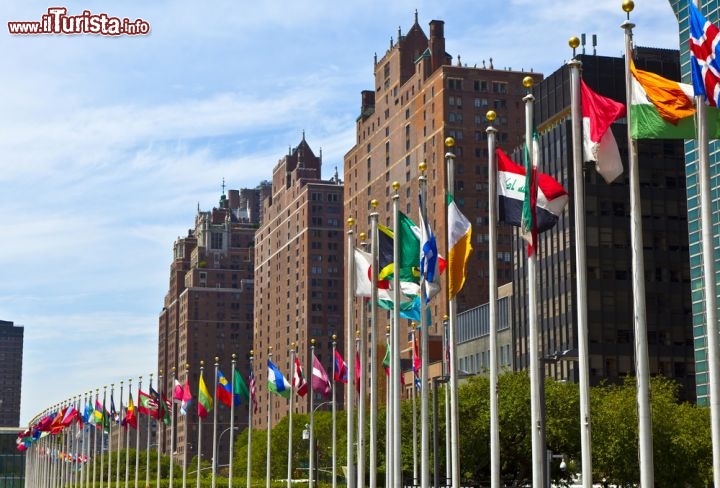 Immagine Le bandiere del mondo, esposte di fronte al Palazzo Onu di New York - © Jorg Hackemann / Shutterstock.com