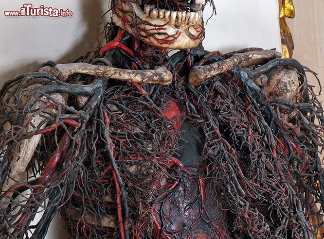 Immagine L'Impressionante apparato circolatario delle macchine anatomiche del Museo Sansevero di Napoli. Come fu possibile conservare le vene ed rterie umane, nella seconda metà del '700, è ancora un mistero.