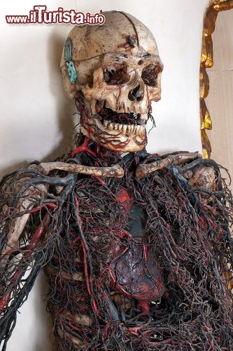 Immagine Una delle Macchine anatomiche presenti nella cavea sotterranea della Cappella e Museo Sansevero a Napoli