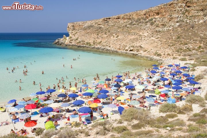 La spiaggia dei Conigli di Lampedusa - Non solo una spiaggia, ma una piccola e magica isola: l’Isola dei Conigli si trova nel lembo sud-occidentale di Lampedusa, separata dalla Spiaggia dei Conigli da un tratto di mare cristallino. Con una superficie di 4,4 ettari e un’altezza massima di 26 m, incastonata in un’ampia baia dall’aspetto caraibico, l’isola si presenta come un grosso scoglio ricoperto di macchia mediterranea a ciuffi. Alte scogliere, il fondale sabbioso e un mare pulitissimo sono gli ingredienti tanto amati dai visitatori, che tramite Tripadvisor l’hanno eletta la spiaggia più bella del mondo. Di conigli non ne vedrete – e in effetti l’origine del nome è controversa, probabilmente i simpatici roditori non c’entravano nulla – ma incontrerete gabbiani reali, che nidificano tra gli scogli, la tartaruga Caretta Caretta e la particolare lucertola striata psammodromus algirus. La bellezza incontaminata della spiaggia comporta qualche scomodità in più (i servizi e il bar non sono così vicini) ma una parentesi di paradiso vale decisamente qualche piccolo sacrificio.
La spiaggia dell'Isola dei Conigli, a 4,5 km dal paese, è raggiungibile tramite la strada di Capo Ponente: dopo aver parcheggiato la macchina o lo scooter si continua a piedi su una stradina sterrata in discesa per circa 15 minuti, arrivando in uno splendido spiazzo panoramico. Ancora 300 m e si conquista la spiaggia vera e propria  - © Natursports / Shutterstock.com