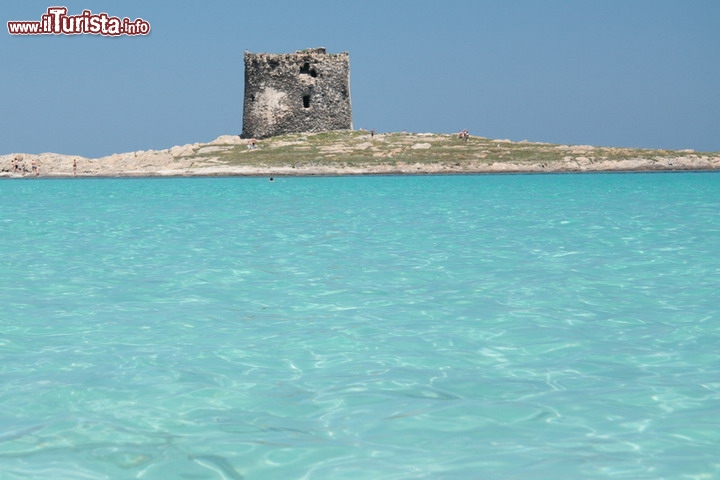 Spiaggia della Pelosa in Sardegna - La Spiaggia della Pelosa si trova nella punta settentrionale della Sardegna, a breve distanza da Stintino, davanti all’Asinara e all’Isola Piana. Capo Falcone sovrasta questo arenile ampio, caratterizzato da una sabbia candida finissima e da acque così cristalline che i bagnanti e le barche sembrano fluttuare a mezz’aria. A nord sta di vedetta sin dal XVII secolo la Torre della Pelosa – che dà il nome alla spiaggia – mentre poco lontano c’è il Falcone, antica torre saracena che rappresenta un bel punto d’arrivo per una passeggiata. Nonostante la sua bellezza selvaggia la Spiaggia della Pelosa è dotata di bar, ristorante e parcheggio per chi arriva con la propria auto.
Per arrivare da Sassari basta imboccare la SS 131 e all’altezza di Porto Torres voltare a sinistra in direzione Stintino, quindi svoltare a destra prima della Torre Spagnola, verso la Spiaggia delle Saline. 300 metri dopo il ponte sullo Stagno di Casaraccio si gira a sinistra e si seguono le indicazioni per le spiagge, che comunque da Stintino sono comodamente raggiungibili anche col servizio navetta - © Cristian Santinon / Shutterstock.com