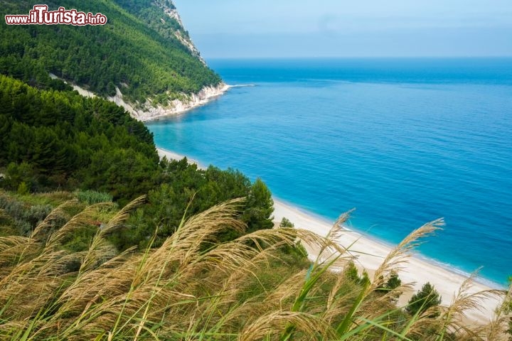 La spiaggia di San Michele a Sirolo, monte Conero - A vegliare sulla spiaggia di San Michele c’è il monte Conero, nel comune di Sirolo (AN, Marche), con il suo dorso ricoperto di boschi e macchia mediterranea e ricamato di sentieri. Questa baia ampia, abbracciata da una costa alta ma aperta verso un orizzonte infinito, è ideale per una lunga passeggiata, per interminabili bagni o per una full-immersion nel vostro libro preferito. Il fondo di ghiaia e sassi fini, bianco come la neve, fa risaltare l’azzurro brillante dell’acqua, che più volte si è meritata il riconoscimento delle Bandiere Blu. In parte libera e in parte attrezzata – con punti di ristoro, lettini e ombrelloni – in estate la spiaggia di San Michele è raggiungibile a piedi lungo un sentiero che parte da Sirolo, nel Parco della Repubblica, e attraversa il bosco, oppure con gli autobus che partono dal Municipio ogni mezz’ora  - © Elisa Locci / Shutterstock.com