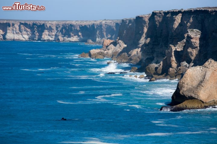 Le Bunda Cliffs australiane - In Australia le scogliere sensazionali sono tante, ma meritano un’attenzione particolare le Bunda Cliffs, lungo la Great Australian Bight, un’ampia baia nella parte meridionale del paese, affacciata sull’Oceano Indiano. Lunghe circa 100 km e con un’altezza variabile tra i 60 e i 120 metri, sempre battute da un forte vento e schiaffeggiate da alte onde blu, le scogliere sono splendide da vedere e da vivere: lungo la costa ci sono infatti numerose spiagge e piattaforme rocciose dove rilassarsi, fare tuffi, praticare le più svariate attività acquatiche e osservare le balene che fanno capolino al largo  - © twobluedogs / Shutterstock.com 