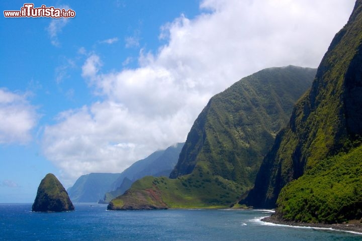 La scogliera di Kalaupapa alle isole Hawaii, USA - Il Libro dei Guinness non ha dubbi: la scogliera di Kalaupapa, sull’isola hawaiana di Molokai, è la più alta del mondo. Si parla in effetti di 1.010 metri di altezza che si tuffano nell’Oceano Pacifico, alla cui base sorge il piccolo e tranquillo villaggio di Kalaupapa, e le cui immagini sono state usate nel film Jurassic Park III. Un luogo davvero selvaggio, impossibile da raggiungere in auto: per arrivare in questo paradiso – spettacolare soprattutto al tramonto - bisogna percorrere a piedi o a cavallo un sentiero di circa 5 km che si addentra tra la vegetazione e gli splendidi panorami del parco nazionale.
Si può raggiungere Molokai in aereo da Maui o da Honolulu, oppure in traghetto da Maui  - © lauraslens / Shutterstock.com 