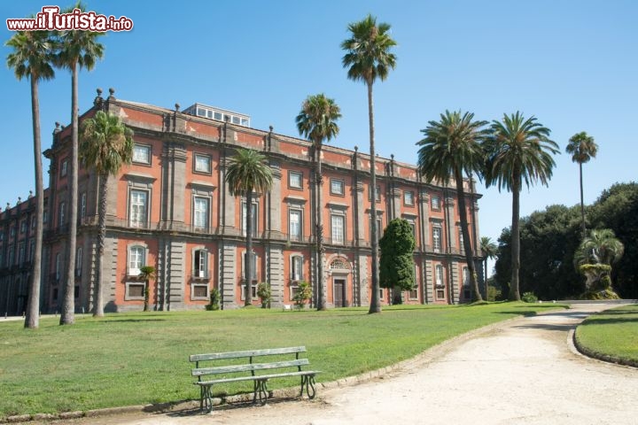 Immagine Reggia di Capodimonte a Napoli - © enzodebernardo / Shutterstock.com