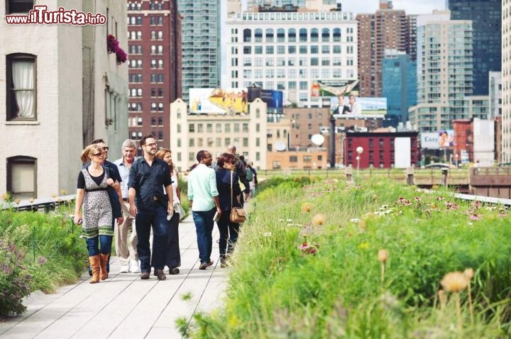 Immagine La High Line, il parco di New York realizzato al posto di una ferrovia sopraelevata in disuso - © pio3 / Shutterstock.com