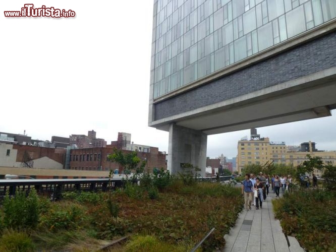 Immagine Passeggiata High Line tra i palazzi di Chelsea a New York City