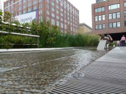 Il progetto di riqualificazione High Line, porta l'acqua dove un tempo correva il treno