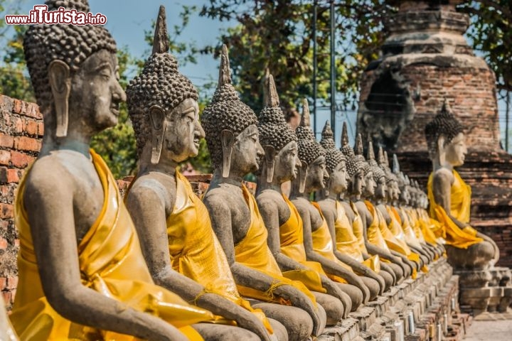 Ayutthaya, Thailandia (Nella foto statue all'antico monastero di Wat Yai Chaimongkol)
La capitale del Siam, ovvero dell’antica Thailandia, era Ayutthaya, che ancora oggi possiamo ammirare sotto forma di affascinanti rovine un’ottantina di chilometri a nord di Bangkok. L’area si chiama Parco Storico di Ayutthaya, è Patrimonio dell’Umanità dal 1991 e comprende numerosi templi e palazzi che testimoniano un palazzo da grande potenza. La città, fondata nel 1350 e distrutta nella seconda metà del Settecento dall’esercito birmano, fu infatti uno dei centri più fiorenti del mondo e arrivò ad ospitare oltre 1 milione di abitanti. La sua posizione strategica tra la Malesia, l’India e la Cina ne ha fatto un nodo commerciale fondamentale, e nel corso dei secoli ci fu chi la ribattezzò “la Venezia d’Oriente”. Prima che le armate birmane la saccheggiassero e danneggiassero una buona percentuale delle sue ricchezze, Ayutthaya vantava ben 4000 statue e oltre 1500 templi, che oggi possiamo vedere in parte. Il tempio più bello conservato sino ad oggi è forse quello di Wat Phra Sri Sanphet, composto da tre grandi stupa (detti chedi in thailandese) e situato accanto all’antico palazzo reale; imperdibile anche il monastero Wat Yai Chaya Mongkol, con centinaia di statue del Buddha e in particolare un’enorme statua di un Buddha disteso… una posizione inconsueta rispetto alle solite gambe incrociate in assetto da meditazone.

L’ingresso all’area archeologica è a pagamento. Molti turisti scelgono di noleggiare una bicicletta per spostarsi tra le rovine, siccome il parco è piuttosto esteso. Da Bangkok conviene viaggiare in minibus fino ad Ayutthaya: ne parte uno ogni 20-30 minuti, il viaggio dura un’ora e costa circa 1,50 euro a/r. -  © ostill  / Shutterstock.com
