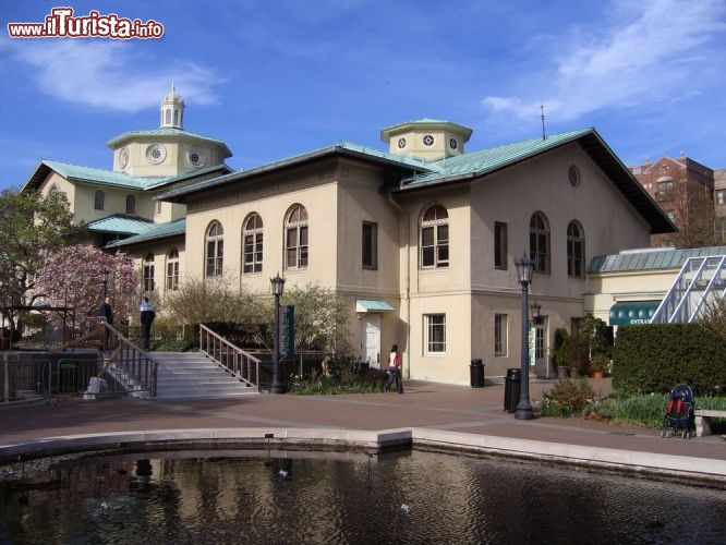 Immagine Giardino Botanico a Brooklyn, New York: l'area dove sorge il giardino fu destinata a tale scopo dallo Stato di New York nel 1897, ma fu soltanto nel 1910 che il Botanic Garden venne ufficialmente fondato - Foto © Lena Bernatsky / Shutterstock.com
