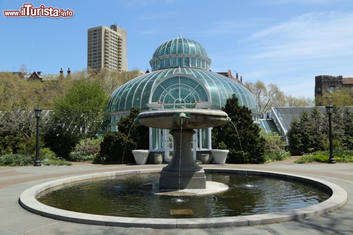 Immagine Palm House presso il Botanic Garden di Brooklyn: all'interno di questa struttura si possono organizzare eventi, come ad esempio matrimoni - Foto © Leonard Zhukovsky / Shutterstock.com