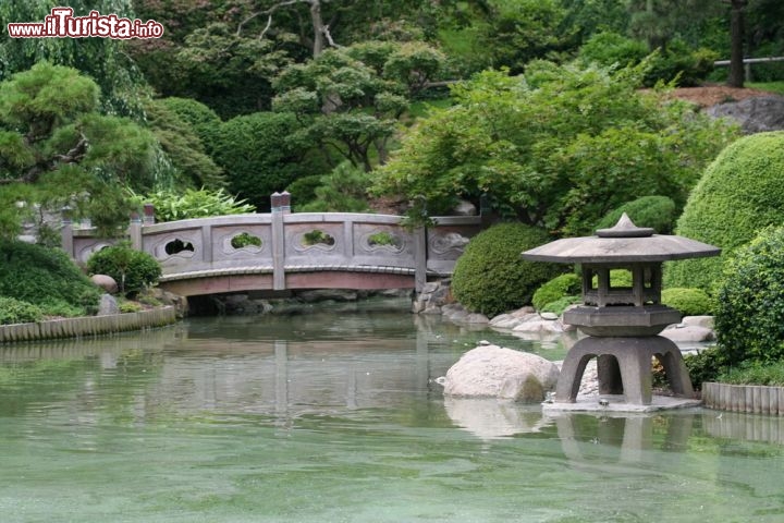 Immagine Giardino giapponese presso il Brooklyn Botanic Garden: è uno dei più antichi e più visitati giardini giapponesi al di fuori del Giappone. È un piacevole connubio di piante, stagni e colline dove passseggiare lungo i sentieri che lo attraversano - Foto © Mike Liu  / Shutterstock.com