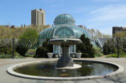 Palm House presso il Botanic Garden di Brooklyn: all'interno di questa struttura si possono organizzare eventi, come ad esempio matrimoni - Foto © Leonard Zhukovsky / Shutterstock.com ...