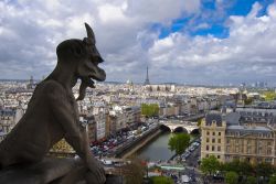 Un gargoyle della Cattedrale di Notre Dame ammira Parigi e la Senna  - © Alizada Studios / Shutterstock.com