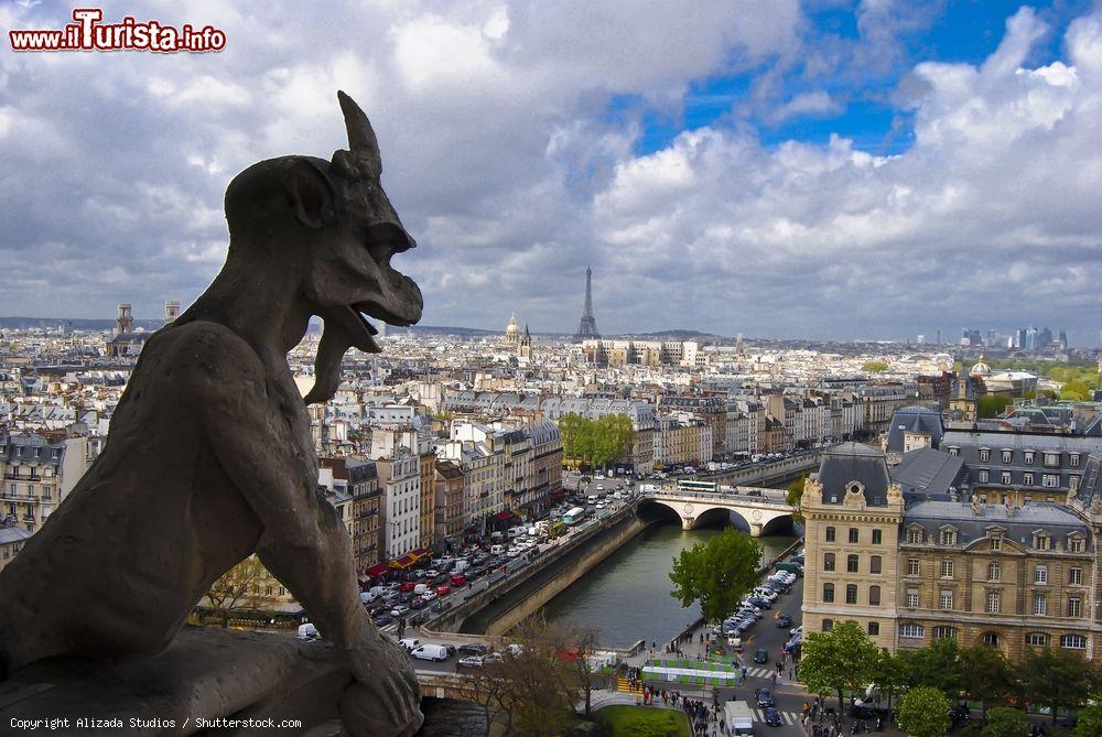 Immagine Un gargoyle della Cattedrale di Notre Dame ammira Parigi e la Senna  - © Alizada Studios / Shutterstock.com