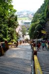 Dalla scalinata che conduce alle Batu Caves, in corrispondenza del gradino numero 204 parte un sentiero che si inoltra fino alla Dark Cave, una grotta visitabile a pagamento con una guida autorizzata. ...