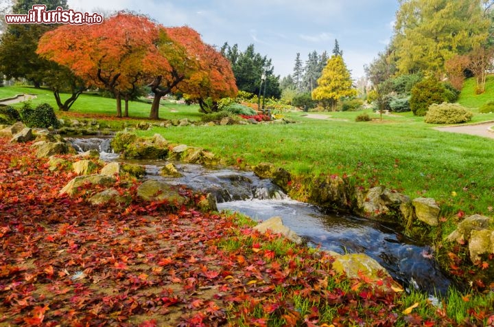 Immagine Il Parco del Valentino  fotografato in autunno. Il giardino è uno dei polmoni verdi di Torino - © Marco Saracco / Shutterstock.com