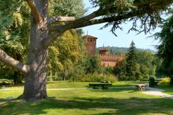 Giardino Botanico del Parco del Valentino a Torino: sullo sfondo il Castello in stile medievale  - © Rostislav Glinsky / Shutterstock.com