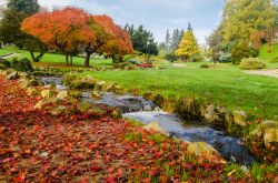 Il Parco del Valentino  fotografato in autunno. Il giardino è uno dei polmoni verdi di Torino - © Marco Saracco / Shutterstock.com