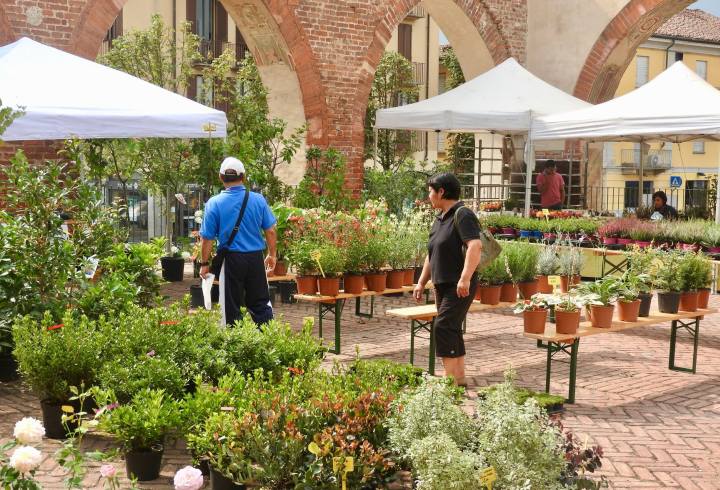 Artigiani al Castello e Fiori d'Autunno Abbiategrasso