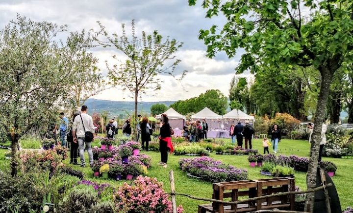 Primavera al Lavandeto Assisi