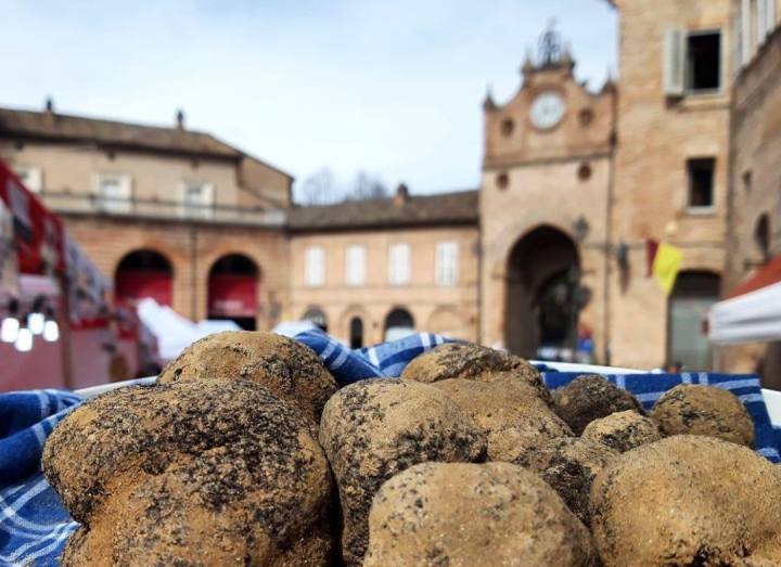 Diamanti a Tavola, Festival del Tartufo Bianco Pregiato dei Sibillini Amandola