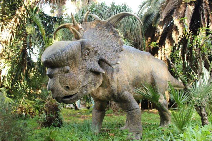 Dinosauri al museo Bergamo