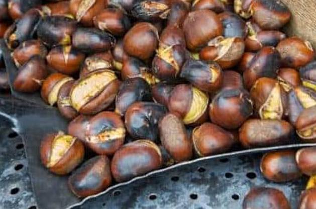 Festa del Castagno – Sapori d’Autunno Trecastagni