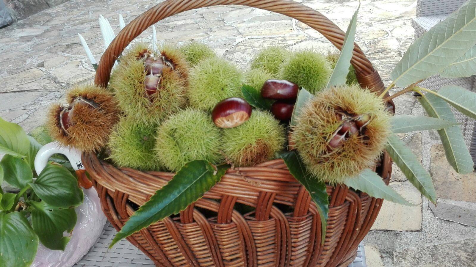 Festa delle Castagne e dei Ricordi Castell\'Arquato