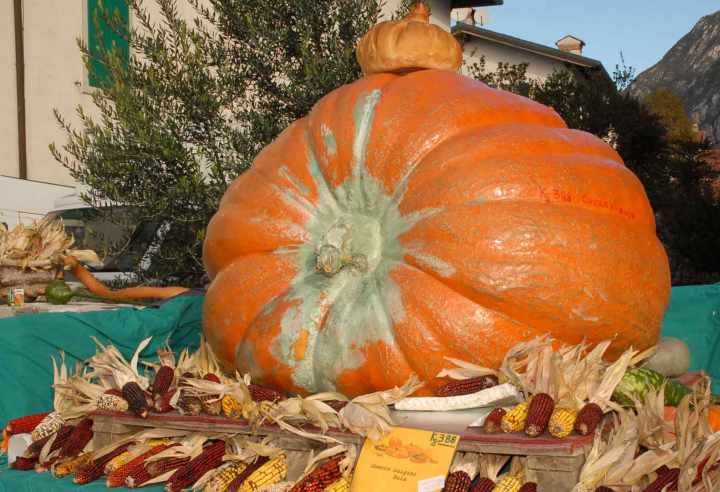 Festa delle Zucche Cordenons