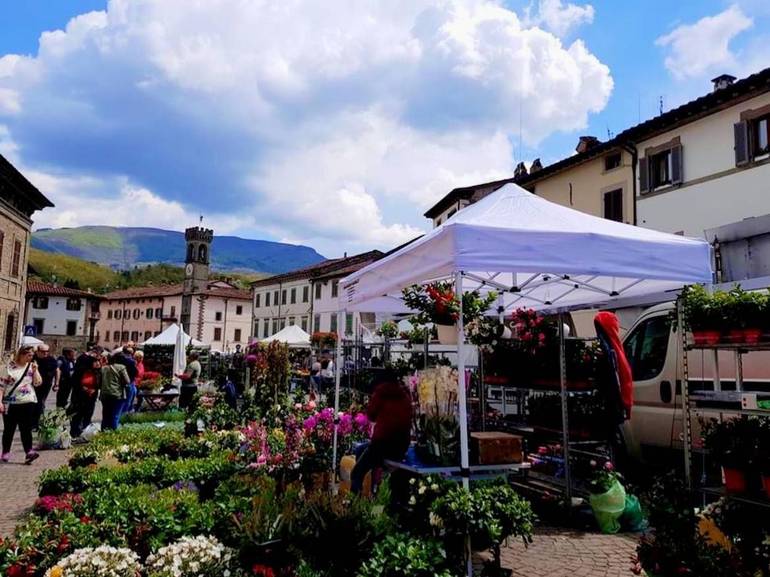 Festinval Bagno di Romagna