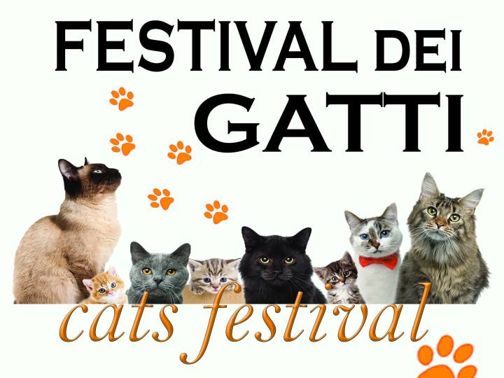 Festival dei Gatti Vaprio d\'Adda