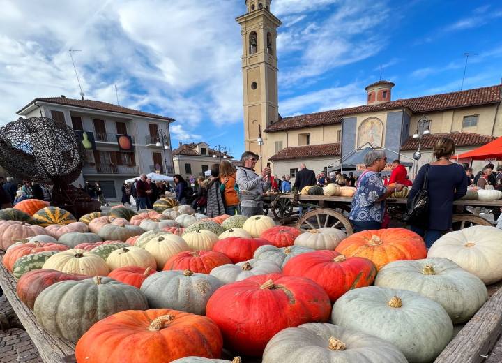 Fiera Regionale della Zucca Piozzo