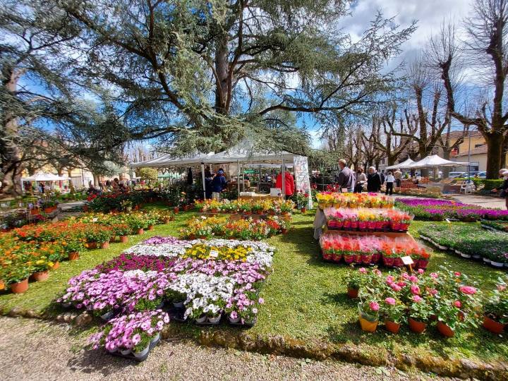 Fiorinfiera Sesto Fiorentino