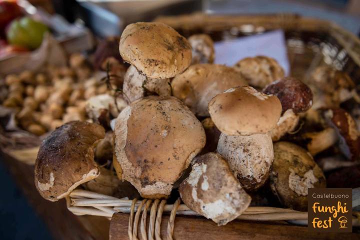 Funghi Fest Castelbuono