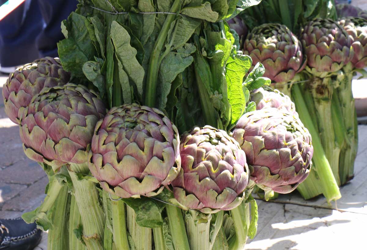 Sagra del Carciofo Romanesco Ladispoli