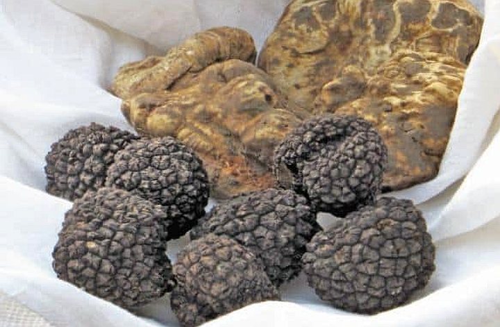 Mostra Mercato del Tartufo Modenese Montefiorino