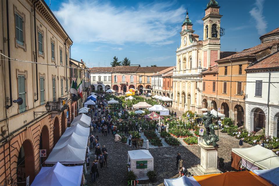 Piante e Animali Perduti Guastalla