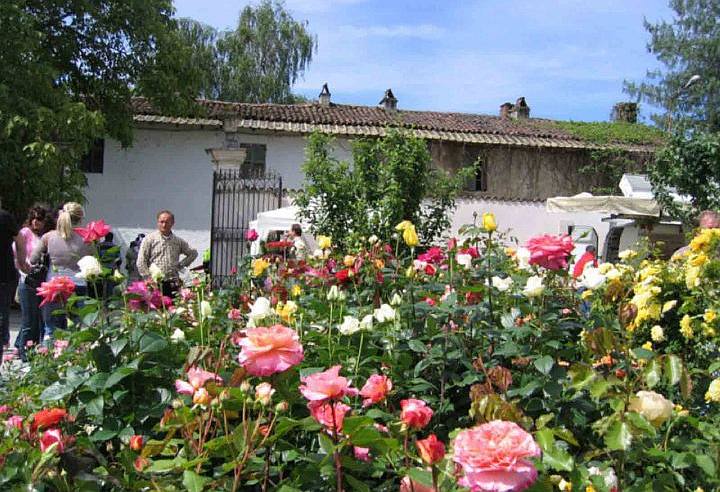 OrTicino. Fiera dei fiori, orticola e prodotti della terra Cameri