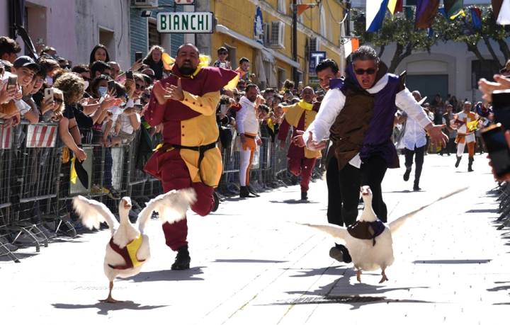 Festa di San Vincenzo Ferreri e Palio delle Oche Campomarino