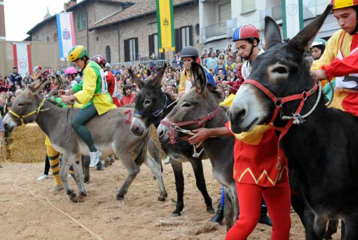 Palio degli Asini - Giostra delle 100 torri Alba