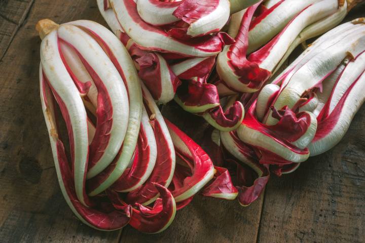 Festa del Radicchio Rosso di Treviso IGP e dellagricoltura Spresiano