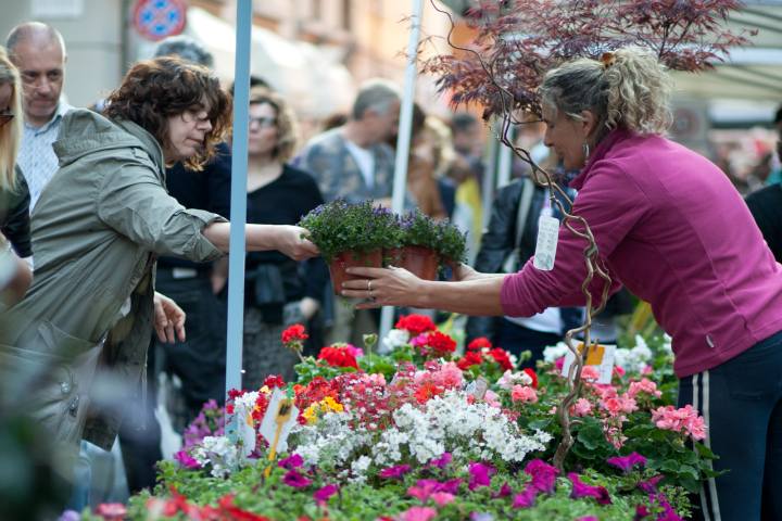 Reggio Emilia in Fiore Reggio Emilia