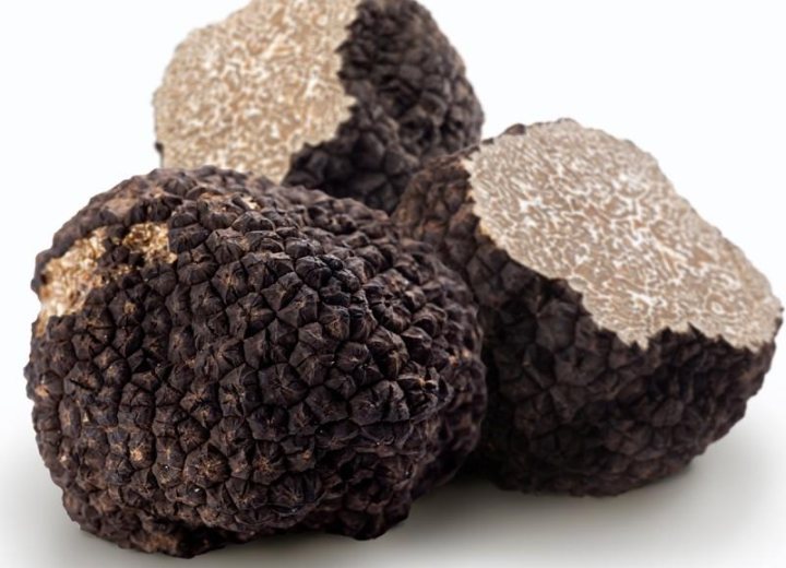 Il tartufo tra i sapori dautunno Capizzi