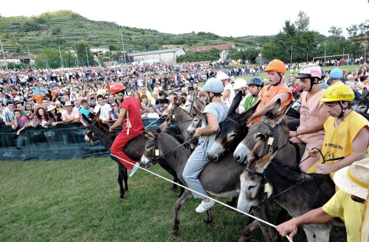 Antico Palio dei Mussi Ronc