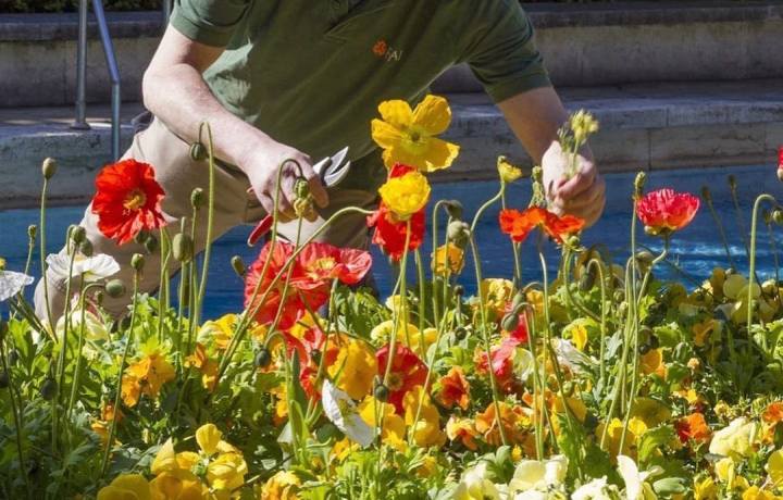 Soffio di Primavera Milano