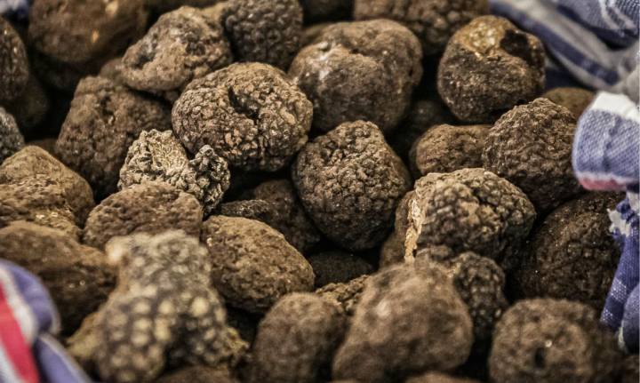 Festa Nazionale Tartufo della Val Bormida Millesimo