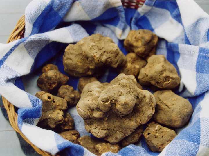 Mostra Mercato del tartufo e della patata bianca Pietralunga