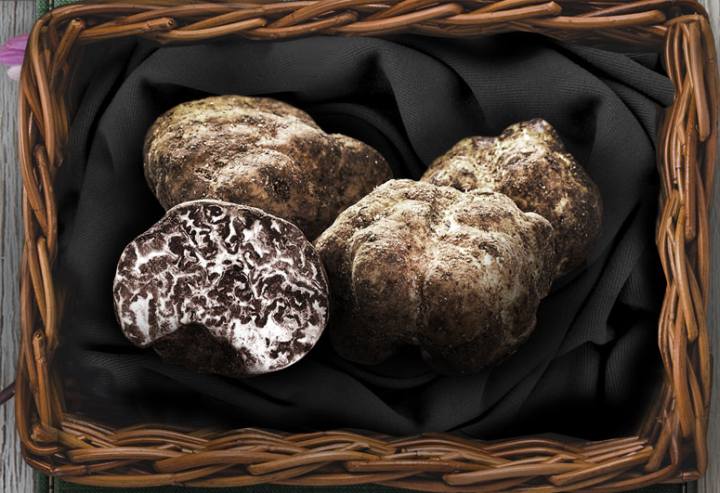 Volterragusto - Mostra Mercato del Tartufo Marzuolo e dei prodotti tipici dellAlta Val di Cecina Volterra